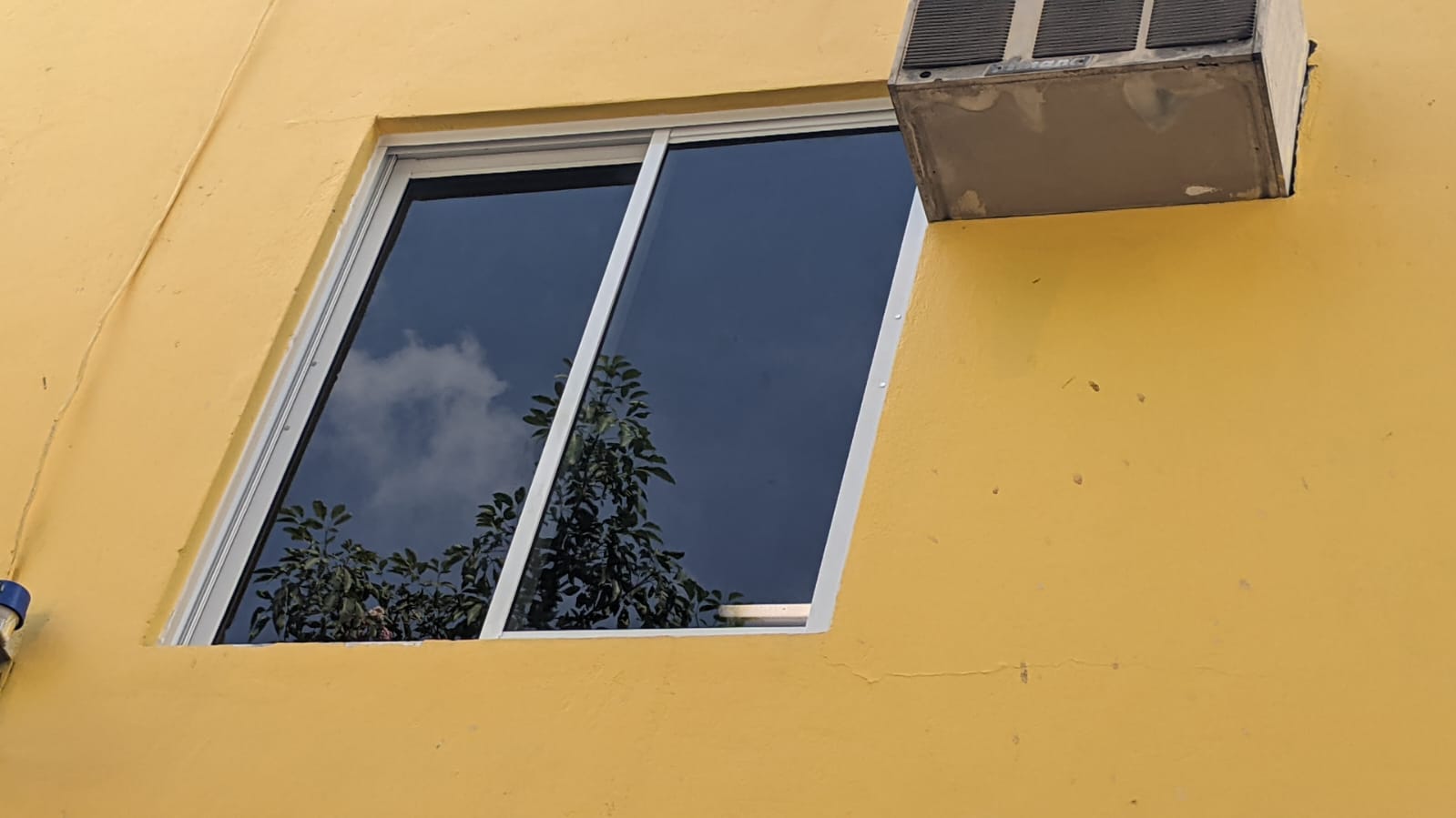    A REPLACED WINDOW
